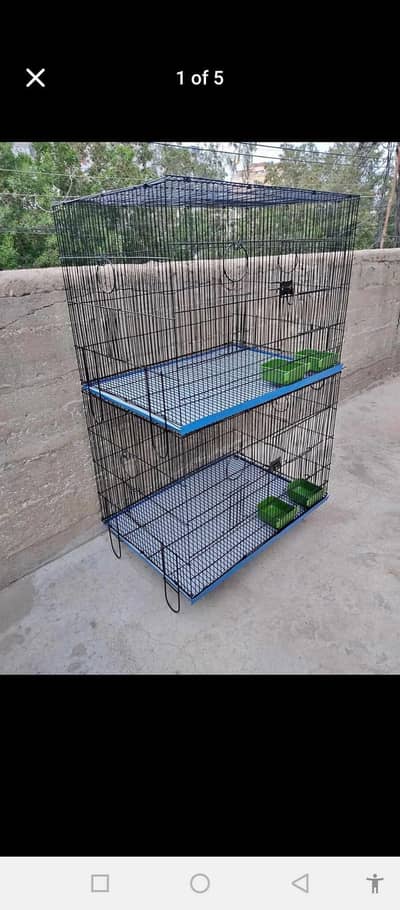 Hand tamed Birds and Cages available on demand