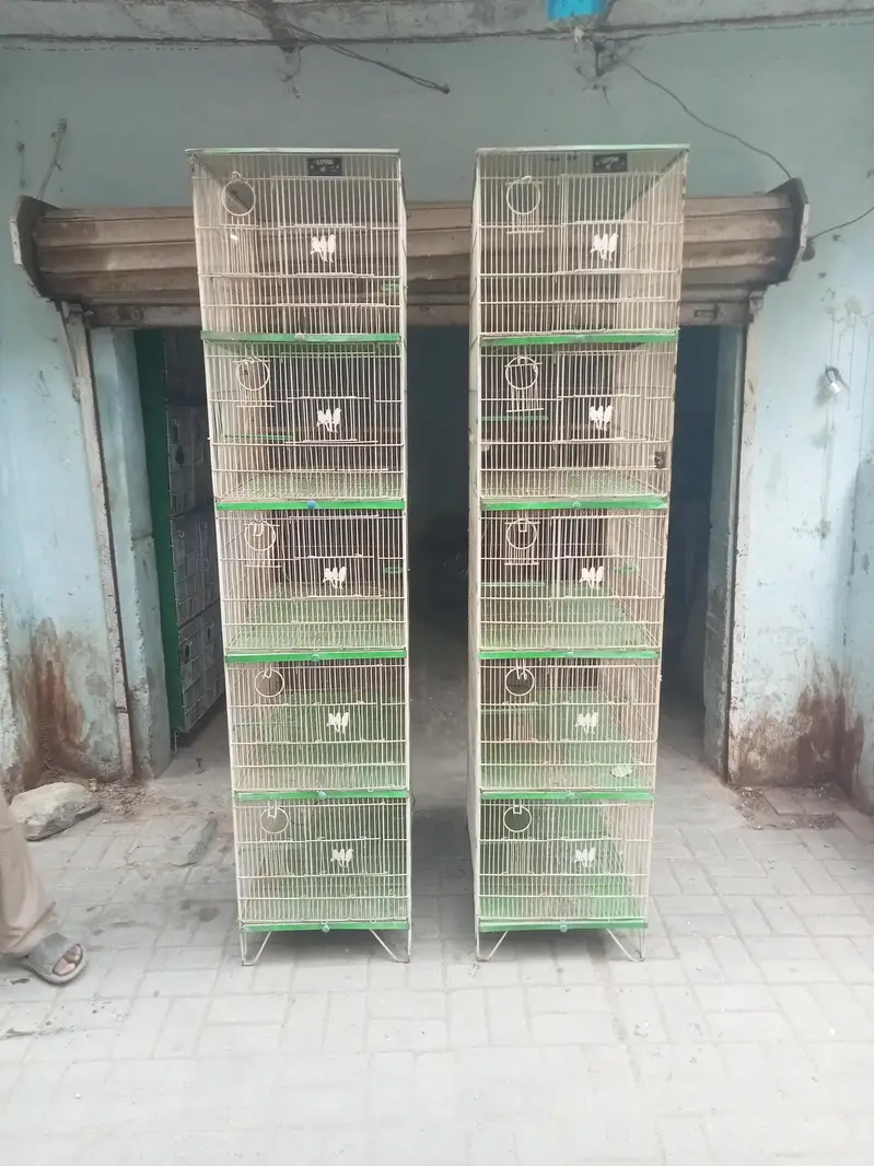 5 Box Bird Cage – Heavy Quality — photo 2
