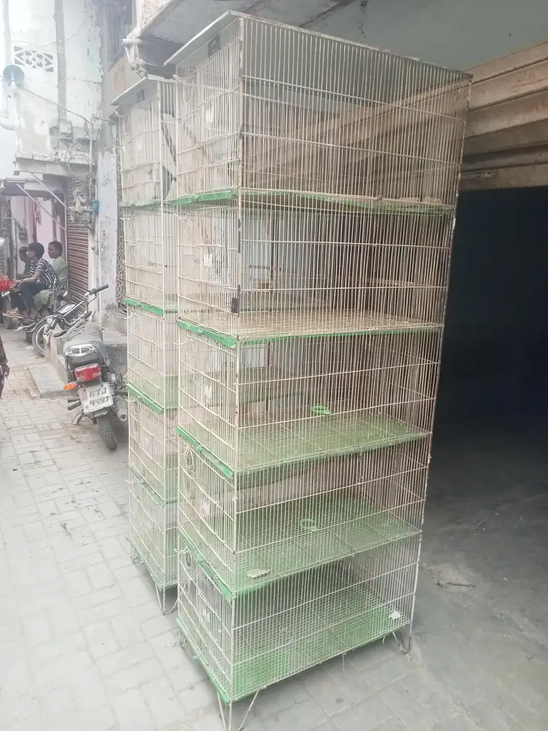 5 Box Bird Cage – Heavy Quality — photo 3