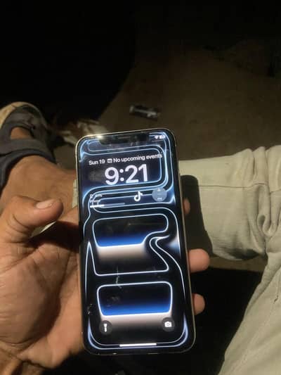 Apple iPhone X