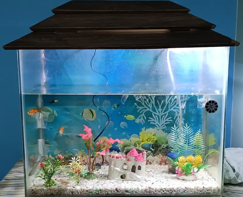 Fish Aquarium 4 Sale  — photo 2