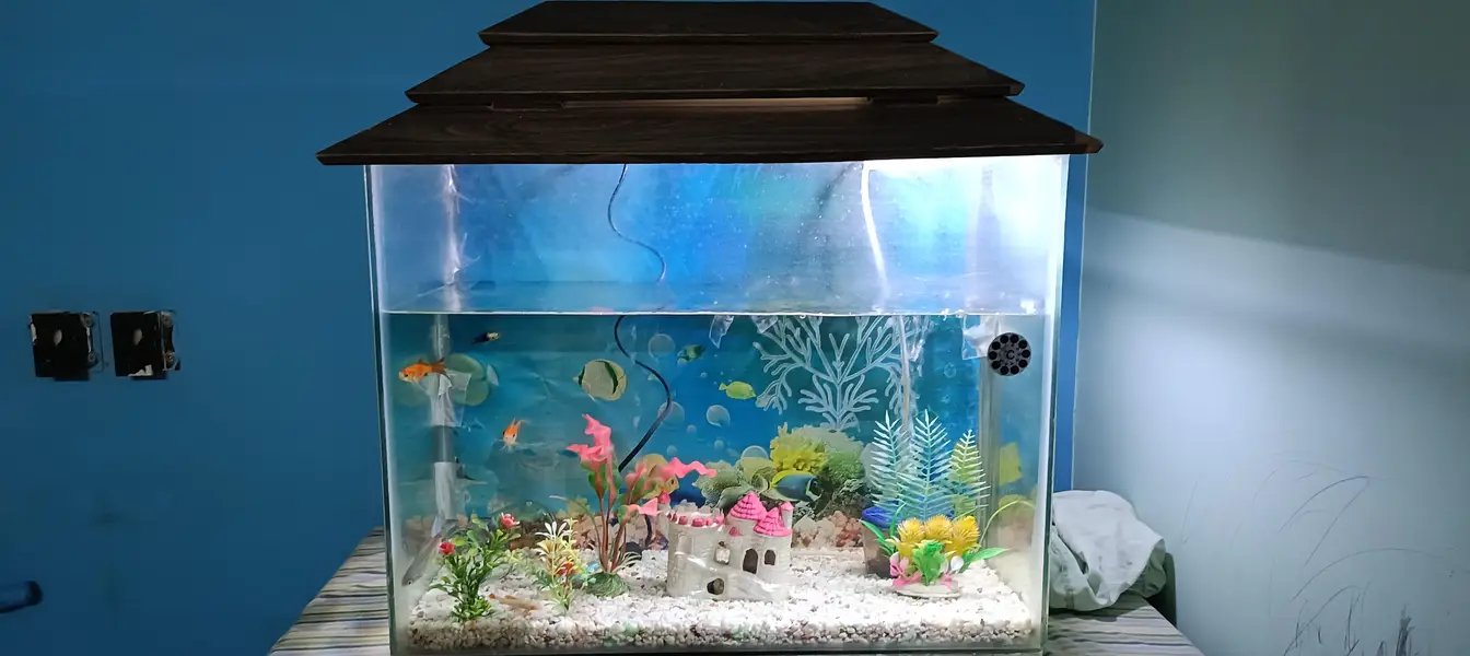 Fish Aquarium 4 Sale  — photo 3