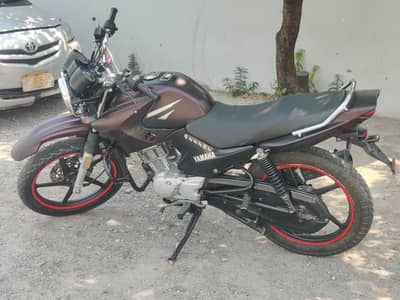 Yamaha YBR 125 – Neat & Clean