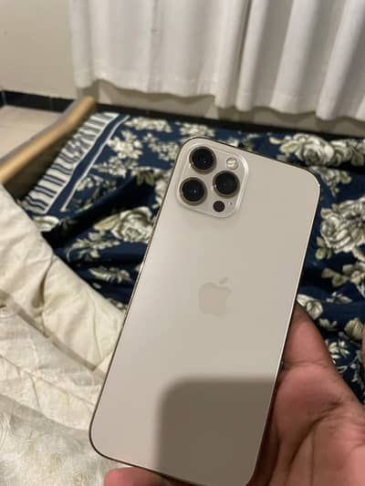 Apple iPhone 12 Pro Max