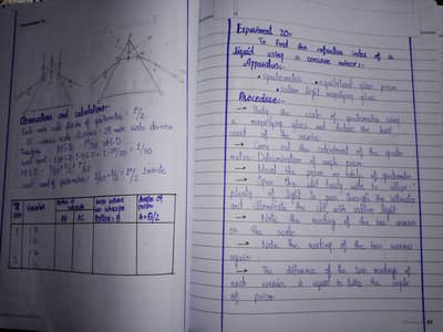 assignment writing