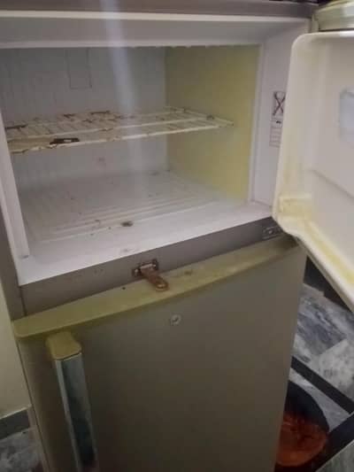 Singer Fridge