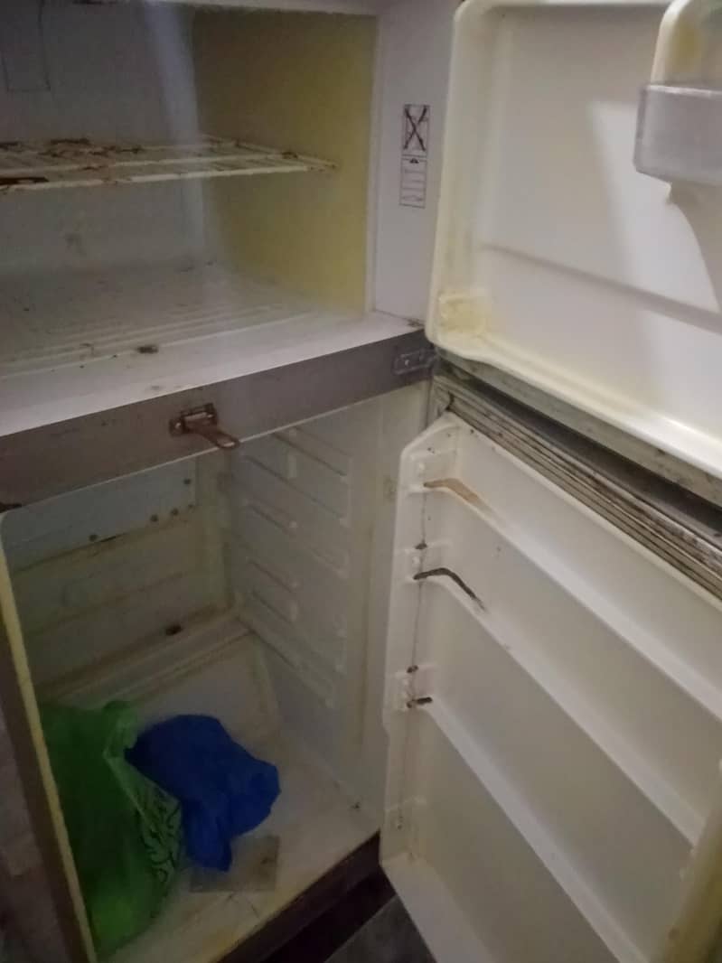Singer Fridge 3