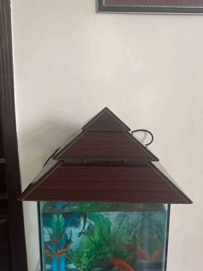 Fish aquarium — photo 2