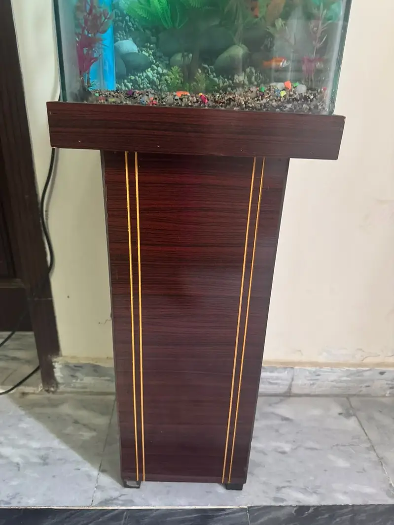 Fish aquarium — photo 4