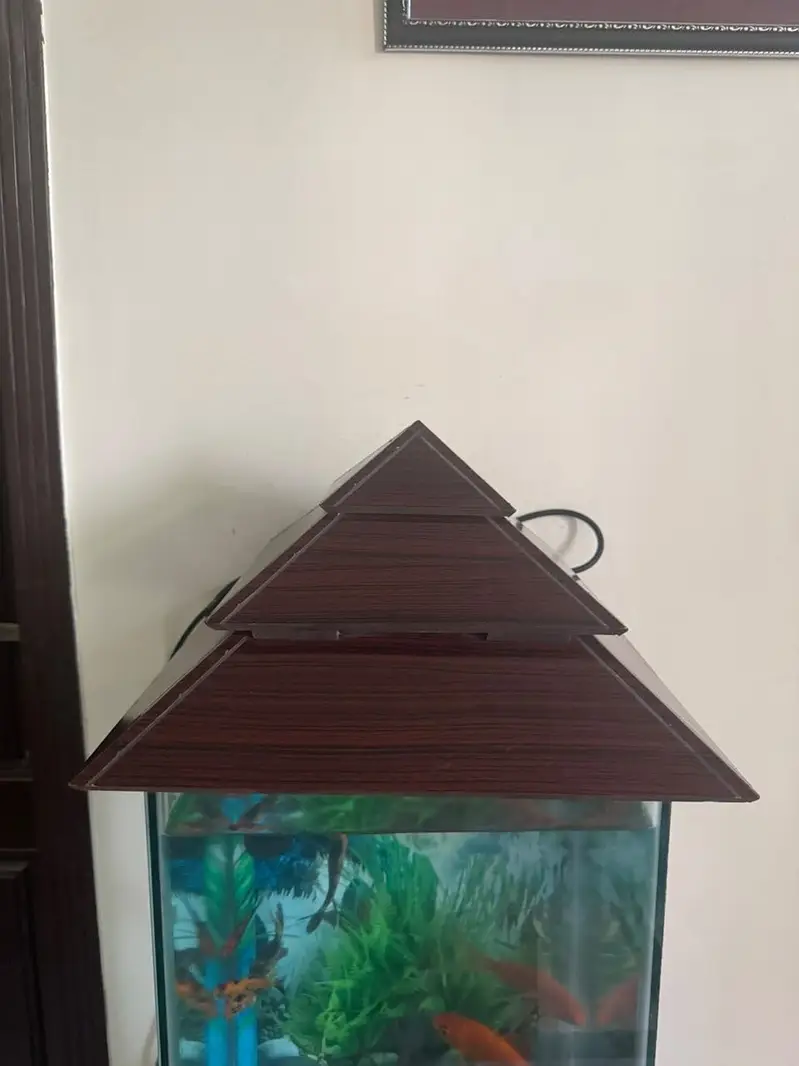 Fish aquarium — photo 5