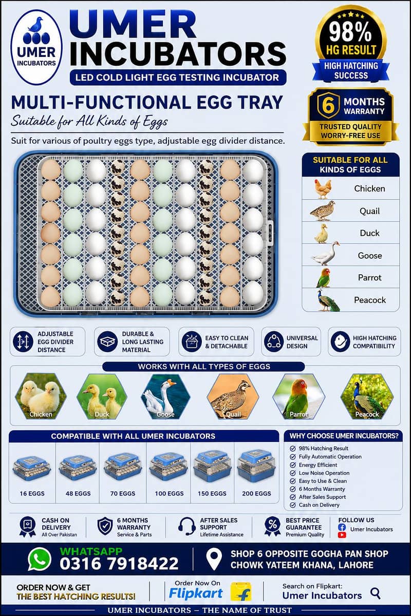 Automatic Egg Incubator | Egg Hatching Machine | Incubator | Brooder 2
