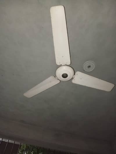 5x ceiling fans 56" for sale