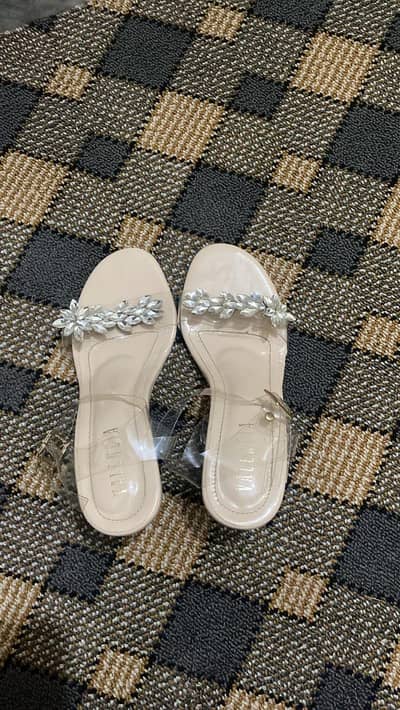 Valencia transparent heels