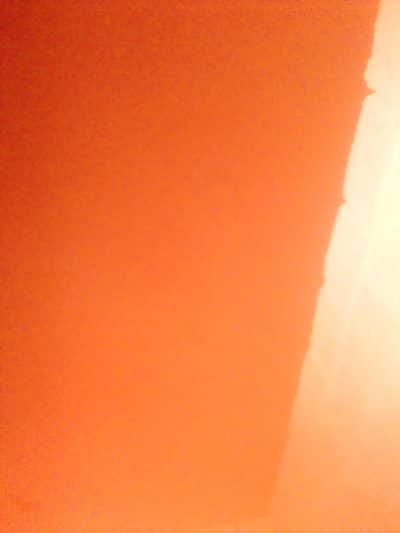 asfhvf