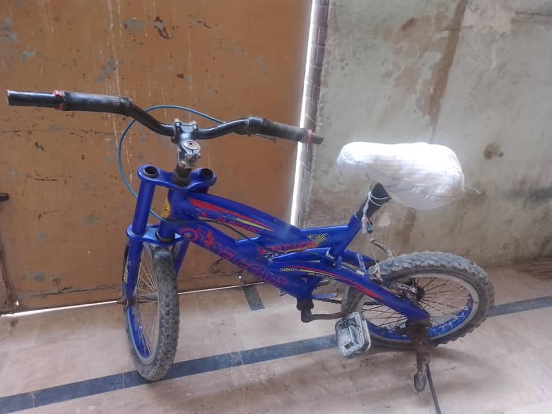 cycle 0