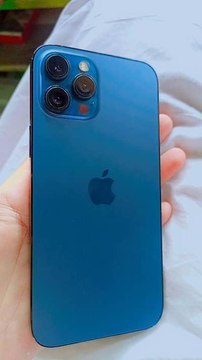 iphon 12 pro max