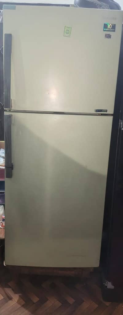 urjunt for sale