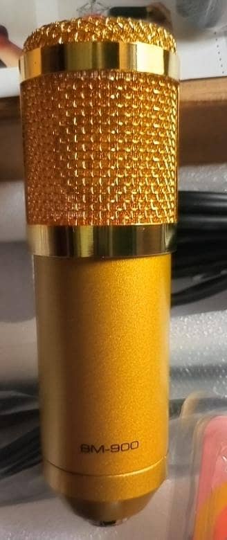 BM900 Professional Condenser Mic Originally 0325-76-555-25