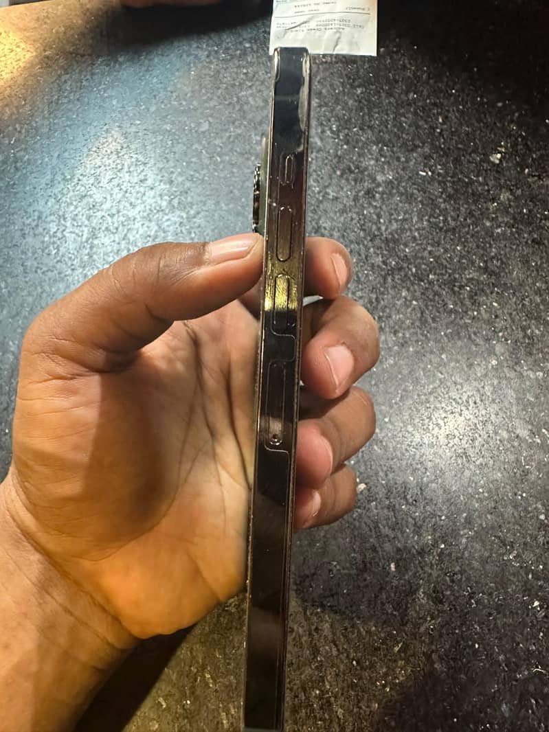 Apple iPhone 13 Pro Max 1