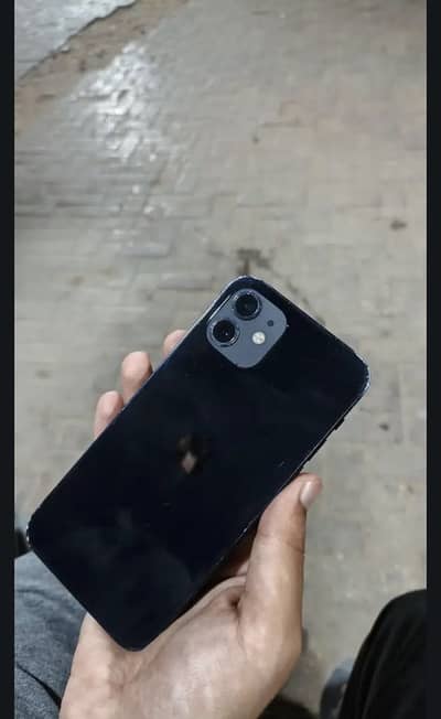 Iphone 12