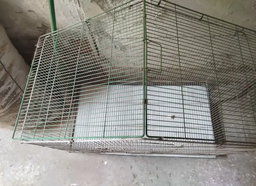 cage 3ft