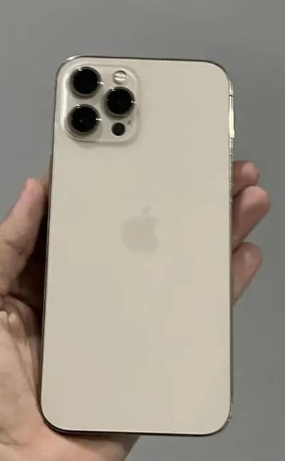 Apple iPhone 12 Pro Max bypass