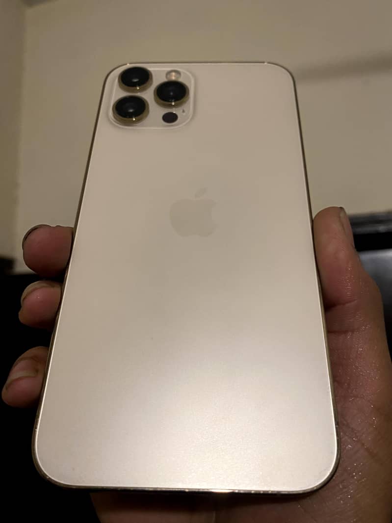 IPHONE 12 PRO MAX 2