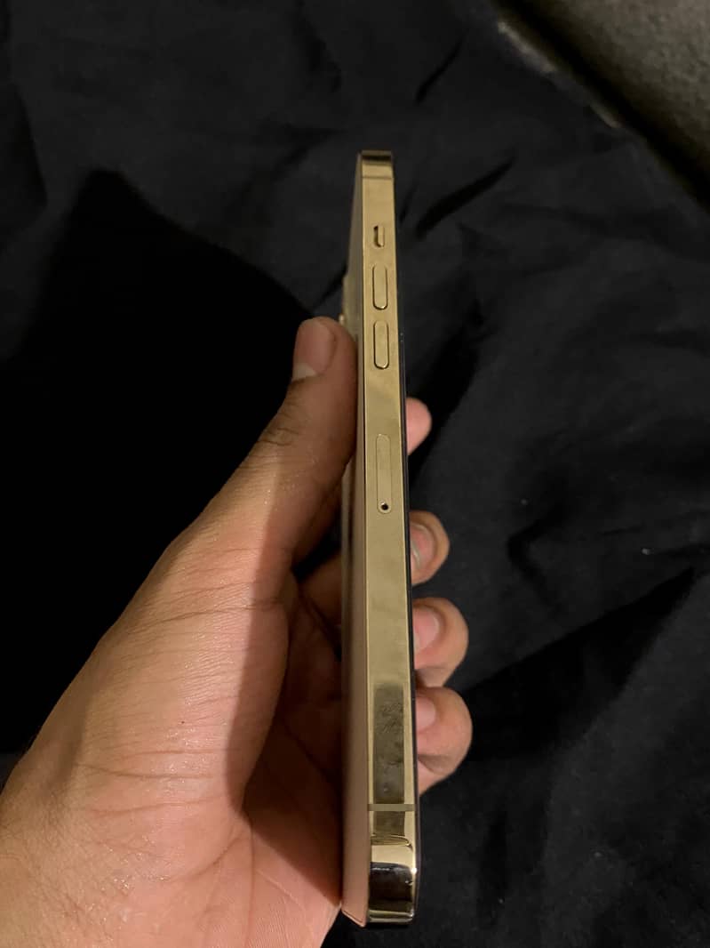 IPHONE 12 PRO MAX 4