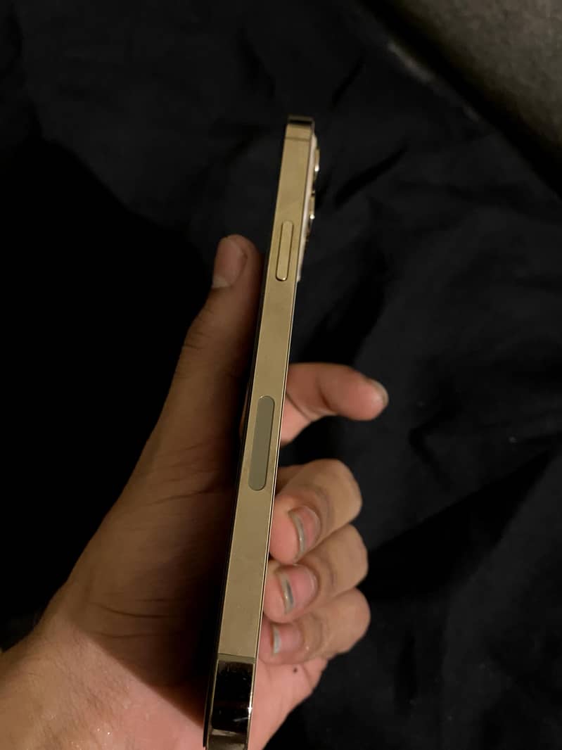 IPHONE 12 PRO MAX 5