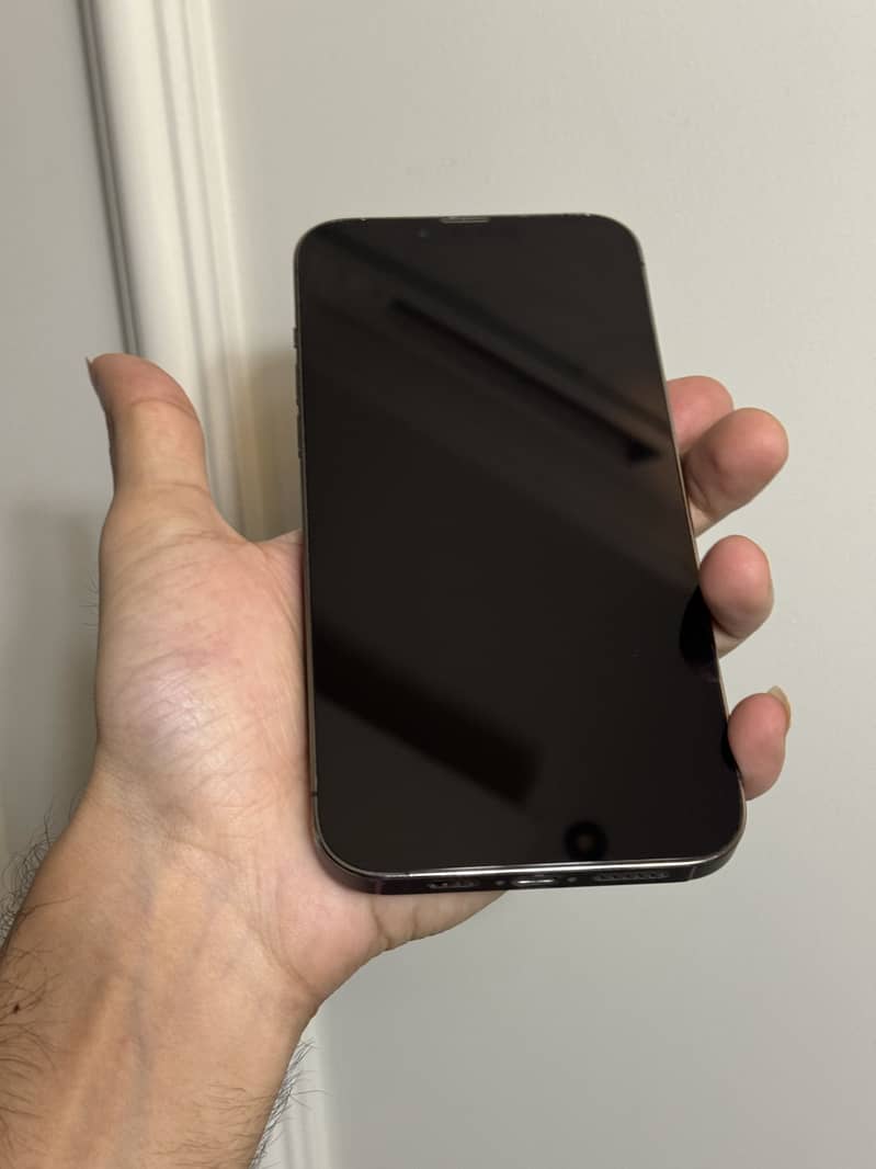 iPhone 13 Pro Max 1