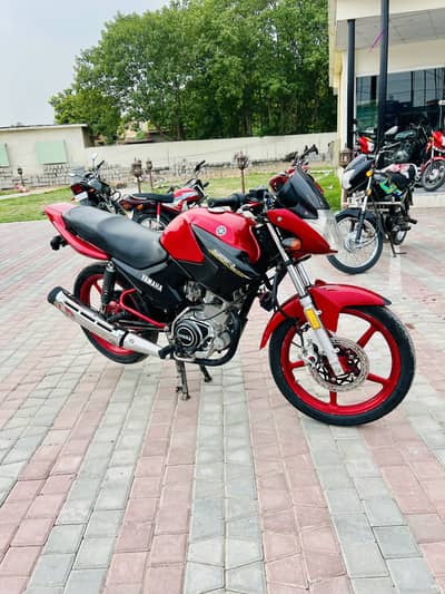 ybr for sale