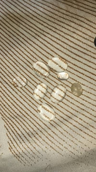 All types of stones available