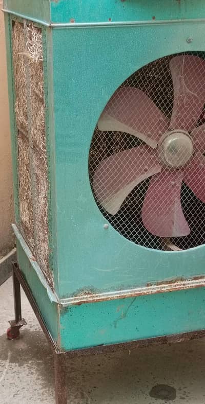 Lahore room colour