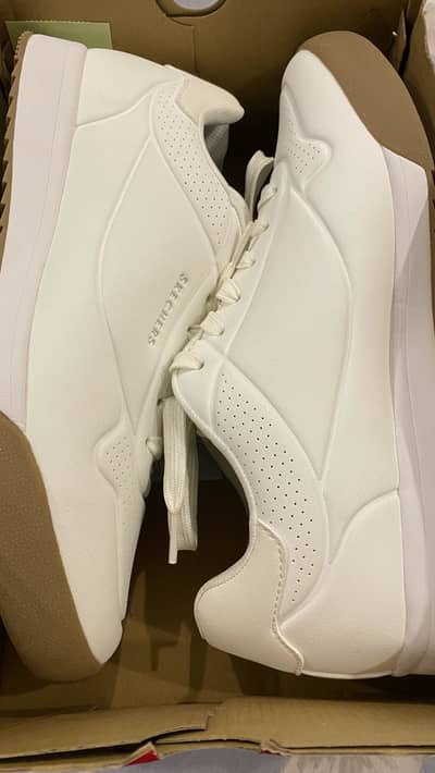 Sketchers shoes