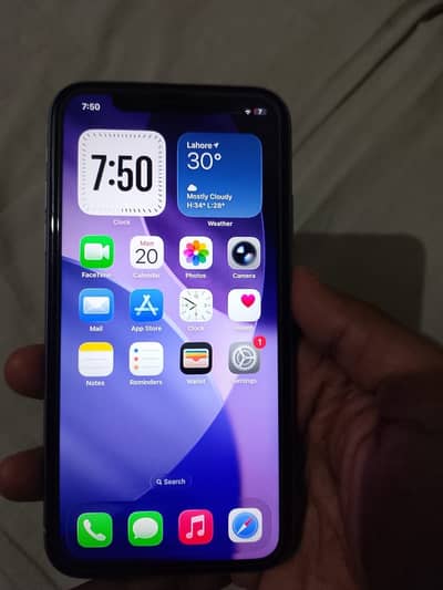Apple iPhone 11