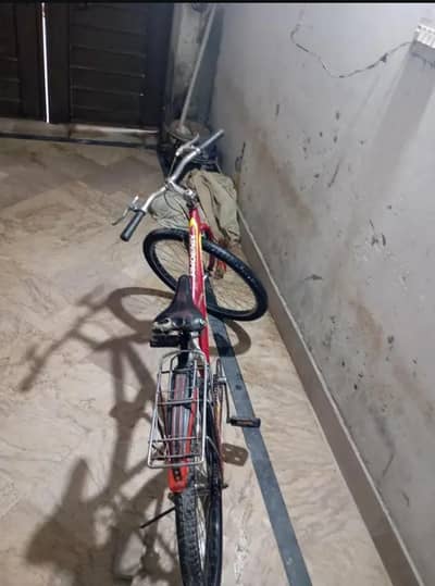 Phoenix Cycle