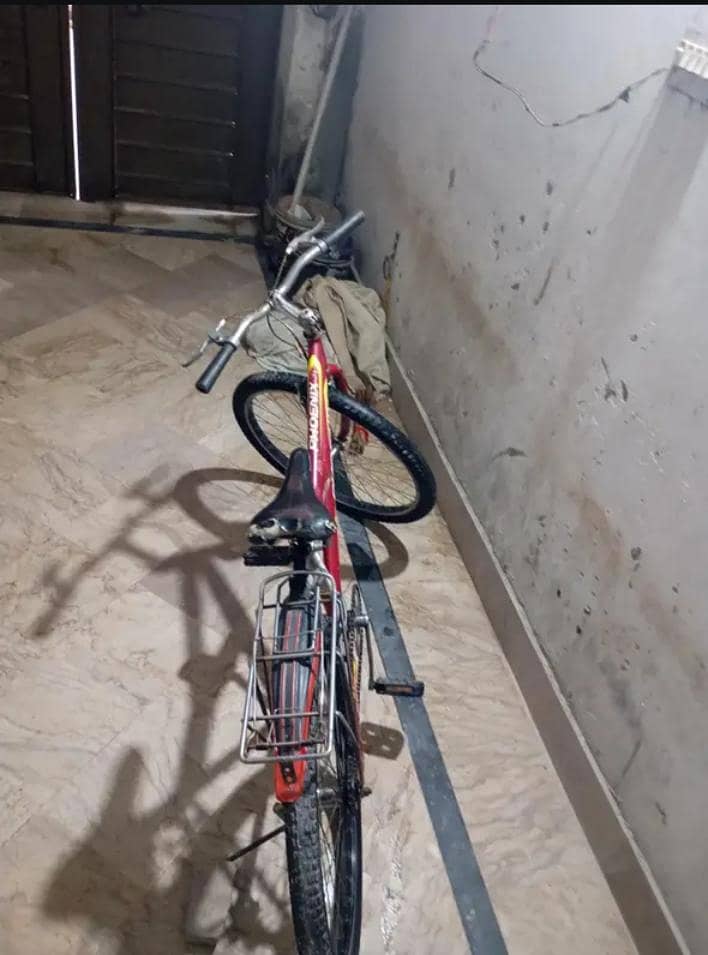Phoenix Cycle 0