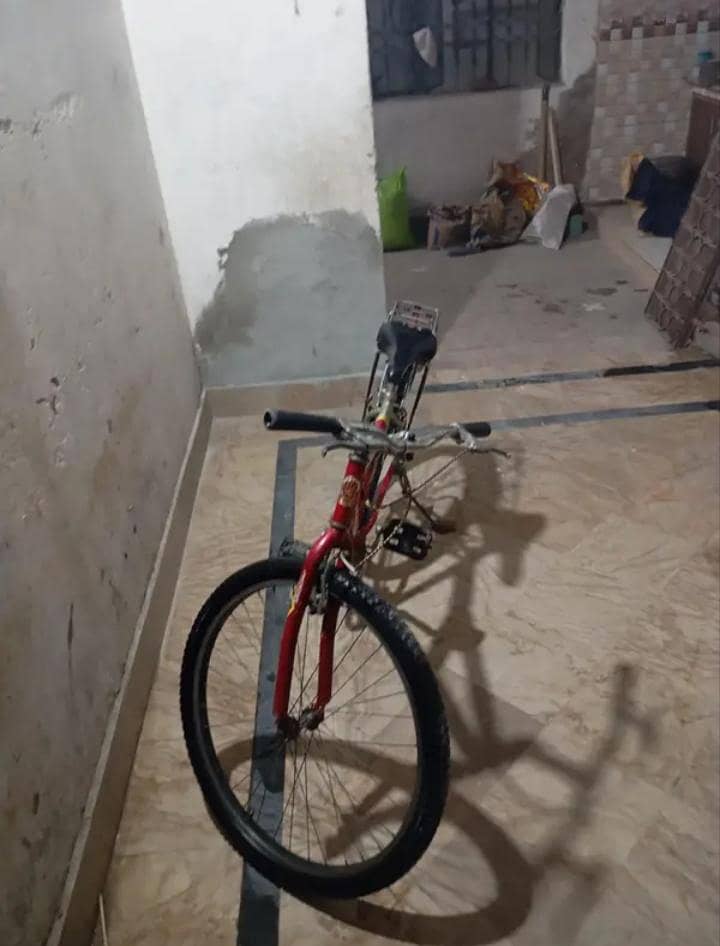 Phoenix Cycle 1