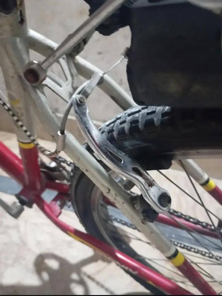 Phoenix Cycle 3
