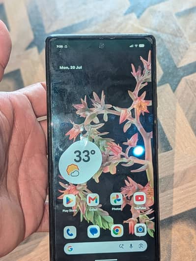 Google Pixel 6 PTA Approved 8/128 only penal change miner green