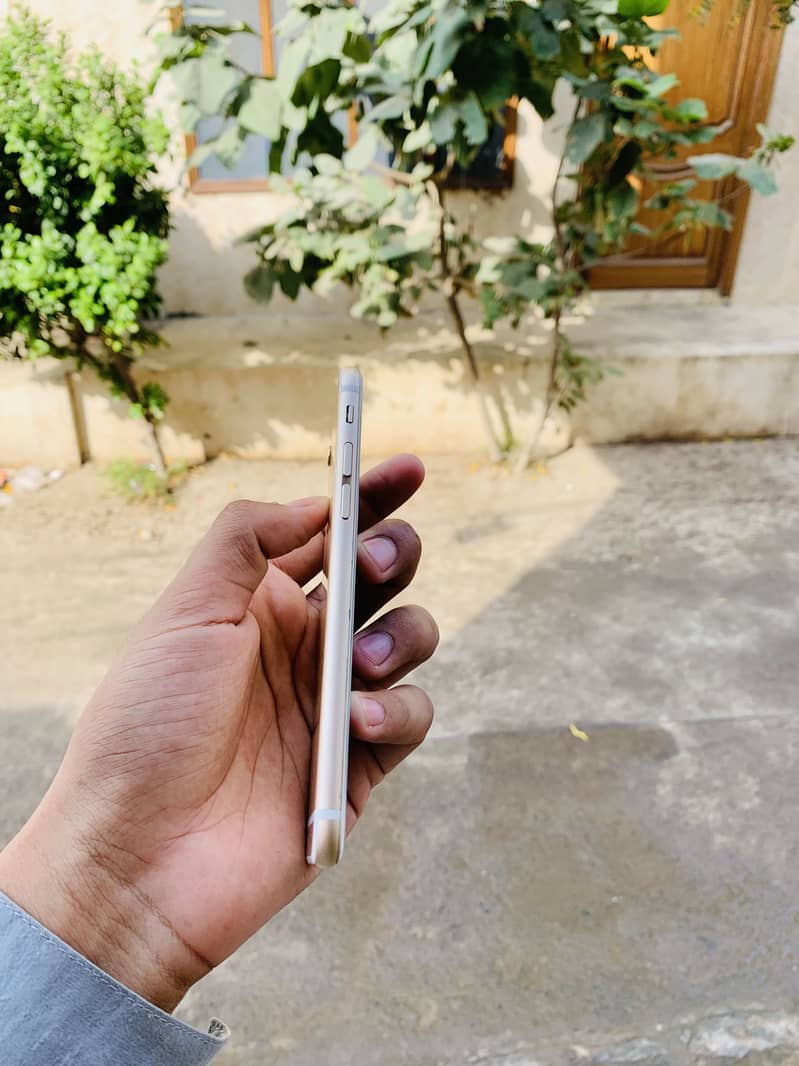 iPhone 6 1