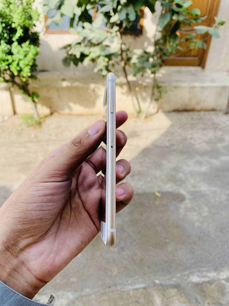 iPhone 6 5