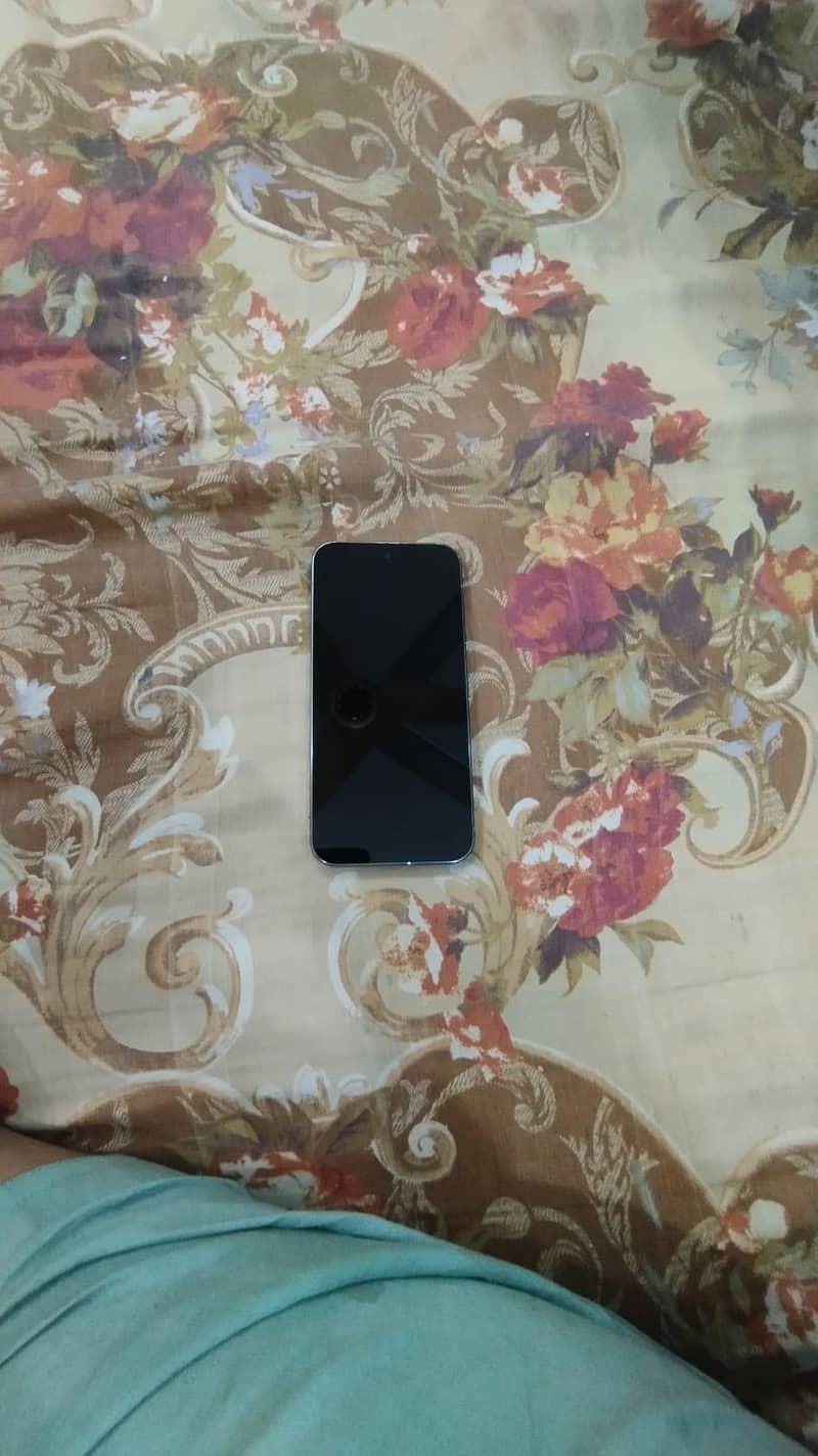 Google Pixel 9 Pro XL 1