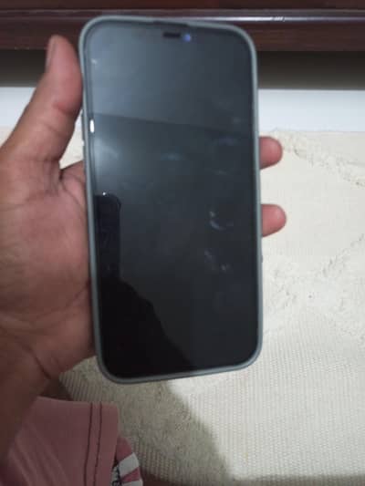 Apple iPhone 12 Pro Max