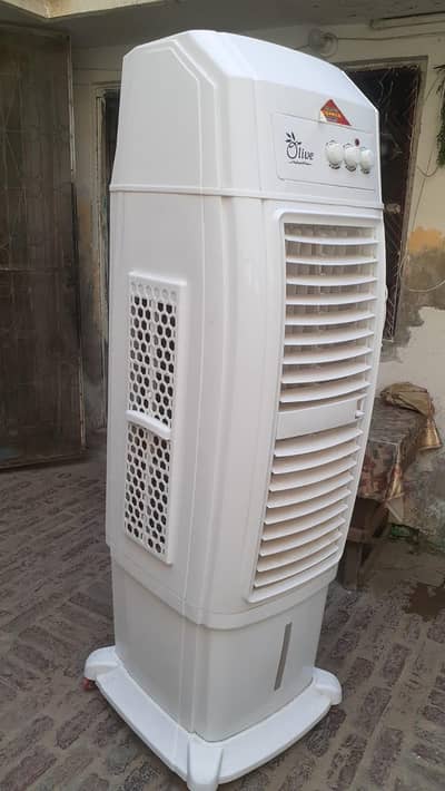 Olive air cooler