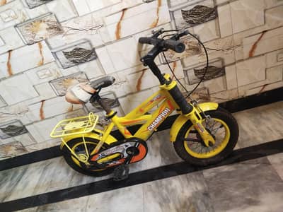 Champion Cycle for kidds