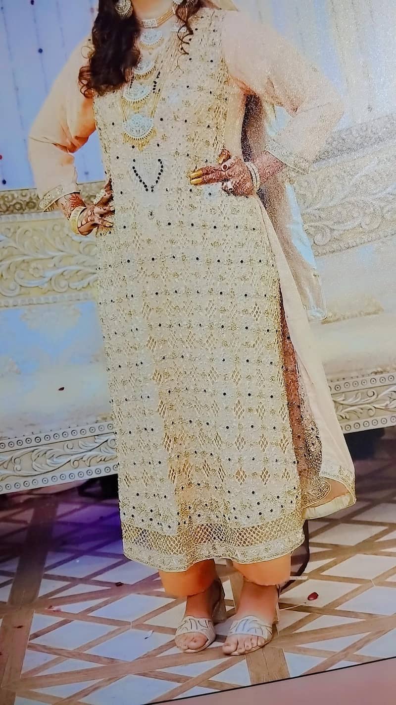 walima maxi 1