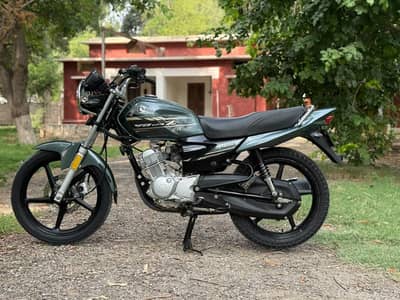 YAMAHA YBZ DX 03313939676