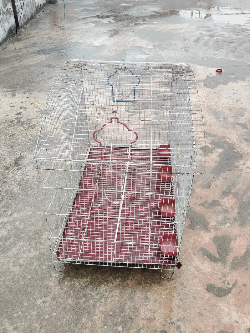 Hen cage/Parrot cage/Pigeon cage — photo 2