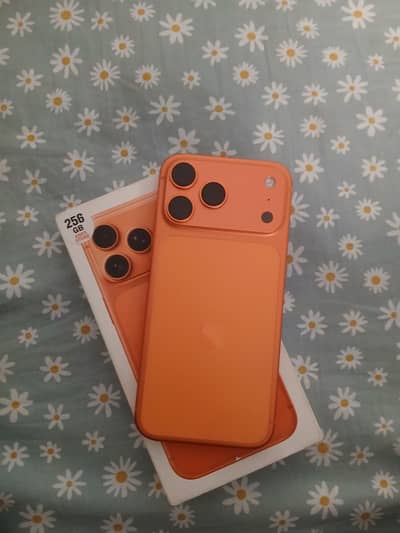 17 Pro Max non pta